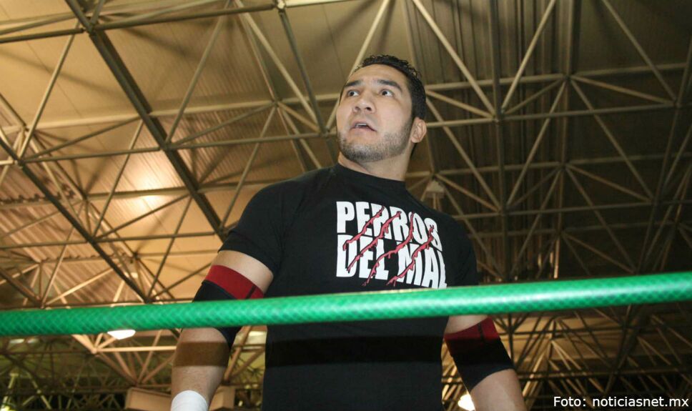 Perro Aguayo