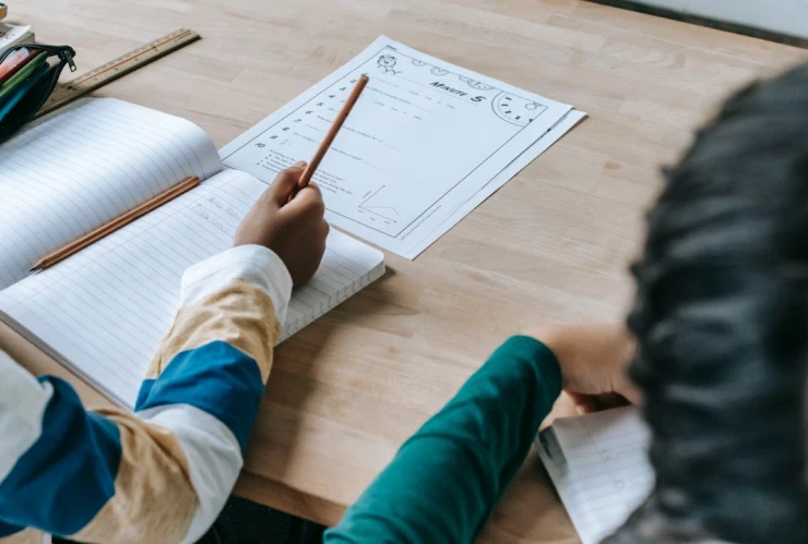 Puentes de noviembre 2024