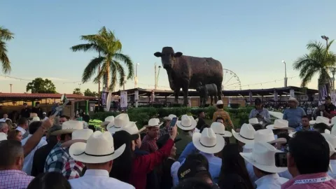 Feria Ganadera en Culiacán