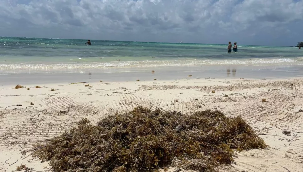 Semana Santa 2025: Enfermedades que se pueden contraer en playas contaminadas