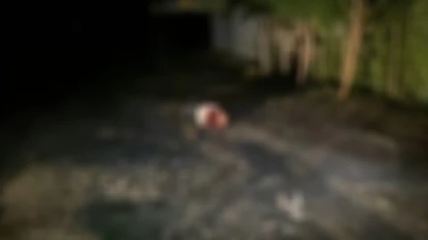 Fiscal regional Coyuca de Catalán