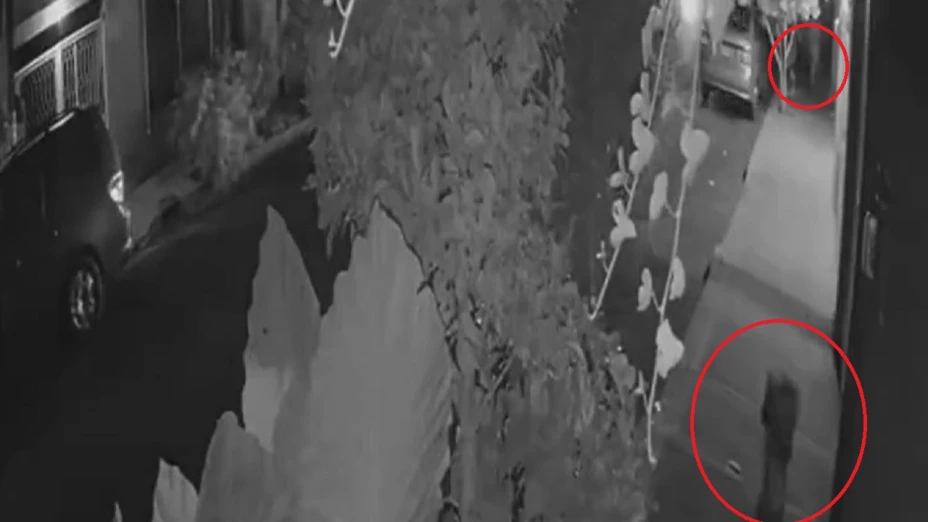 disparan perros ecatepec edomex