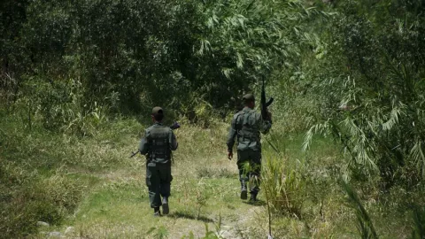 frontera venezuela colombia