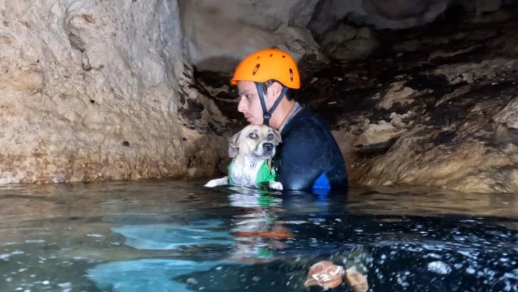 Buzos rescatan a perrita perdida en un cenote de Yucatán