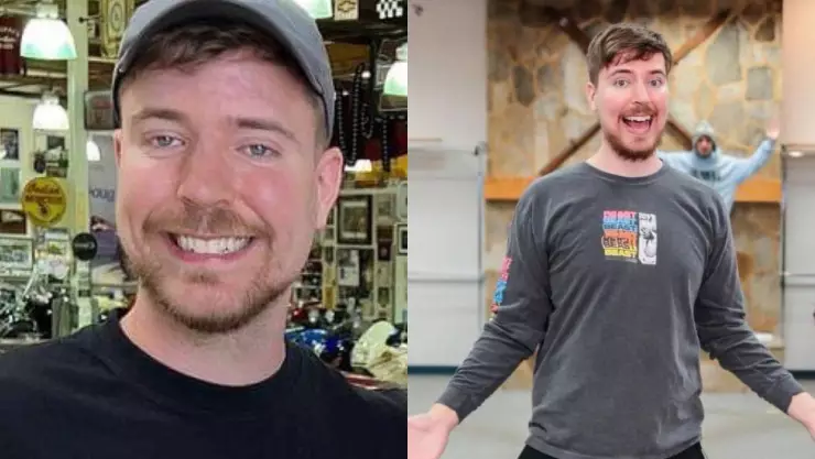 Mr. Beast rescató 100 perros