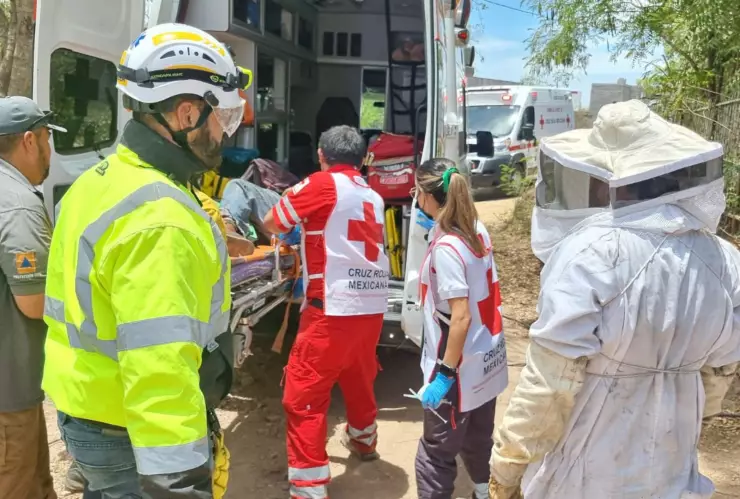 Hombre es atacado por abejas en Las Coloradas, en Culiacán