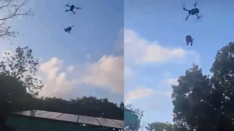VIDEO _ Amarran a perro chihuahua a dron y lo elevan en Xul-Ha, Quintana Roo; causa indignación.jpg