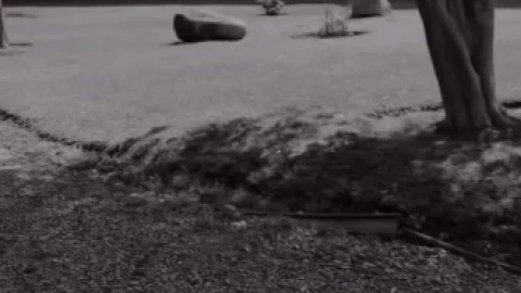 Alicia Villarreal alimenta los rumores de crisis con Cibad Hernández 2.jpg