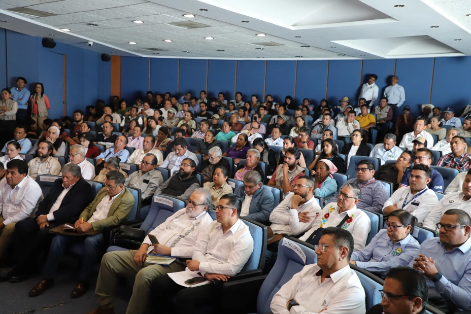 Sader 26 de noviembre 2024.jpeg