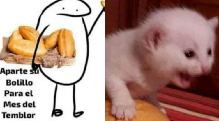 Sismo hoy 26 de septiembre en CDMX Los mejores memes para el susto