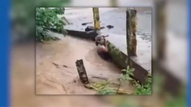 Video Hombre es arrastrado por arroyo de Catemaco