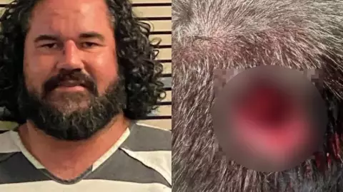 Hombre ataca brutalmente a un policía en un festival de música