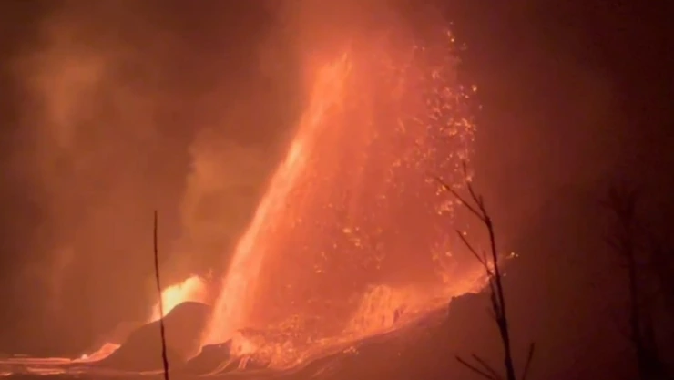 WhatsApp Image 2025-02-26 at 2.26.28 PM.jpeg