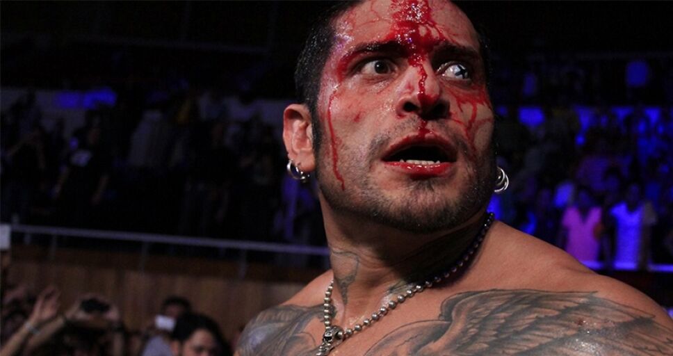 Luchador Cibernético