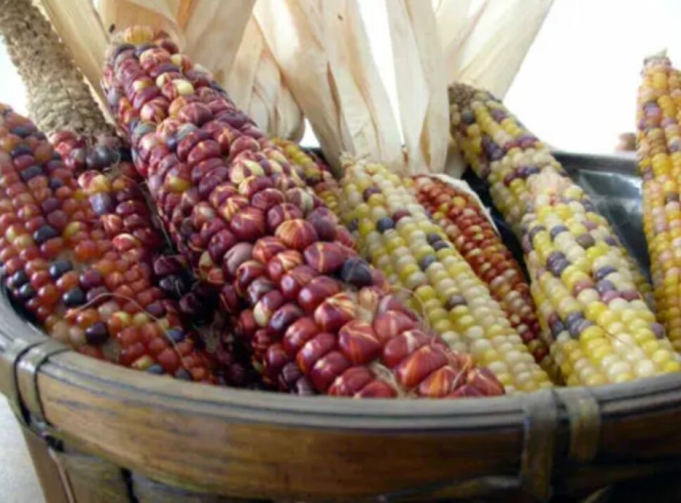La gastronomía mexicana se distingue como patrimonio de la humanidad