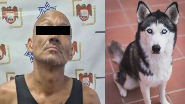 Hombre arrestado en Tijuana tras hallazgo de perro sin vida con signos de violencia el 31 de julio de 2025