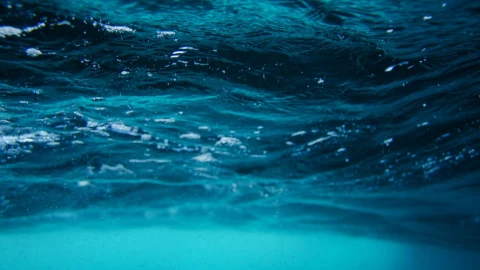 Alertan en playas de Baja California Sur por presencia.png