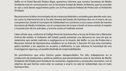 La presidenta municipal, Estefanía Mercado, emite comunicado ante el caso de la muerte de delfines en la Riviera Maya.