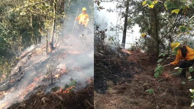 Incendio forestal HOY consume comunidades en Xiutetelco, Puebla: Poblaciones afectadas