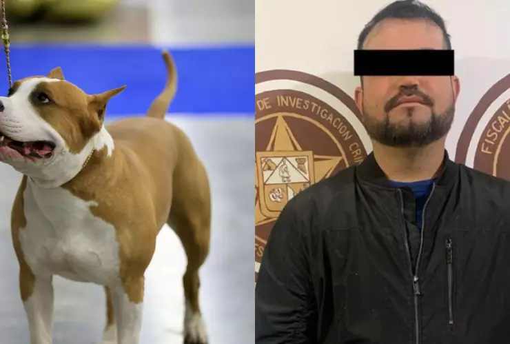 Perro Bull Terrier y Eduardo “N”, asesino del perro “Popeye”.
