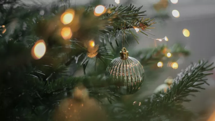 Surge nueva tendencia que desplaza al árbol de Navidad en diciembre 2024