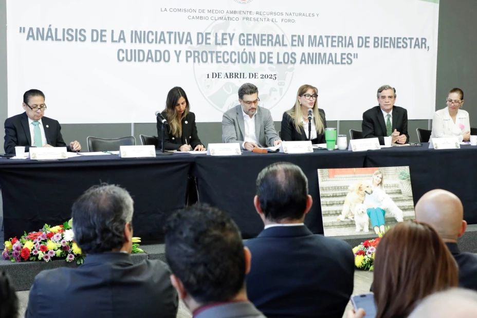 Enriquecerán la nueva ley general sobre bienestar, cuidado y protección animal.jpg