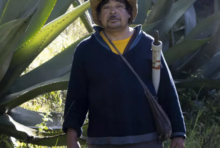 Don Miguel: tlachiquero