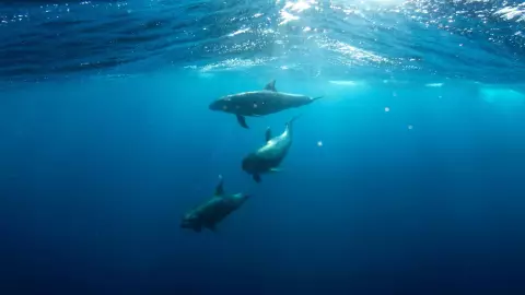 Efemérides del 23 de julio: ¿Qué sucedió en México y el mundo?