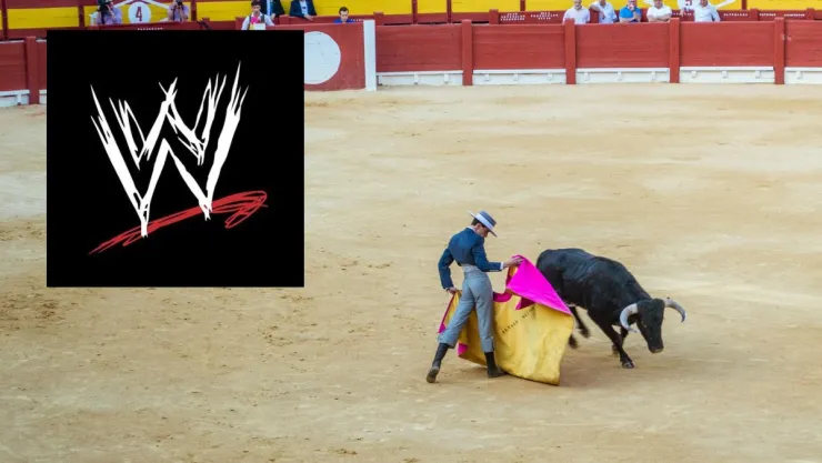 mascarita-sagrada-torero-brillo-wwe-aaa.jpg