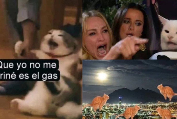 Memes por mal olor en Nuevo León