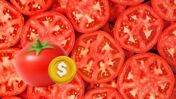 Precio tomate hoy