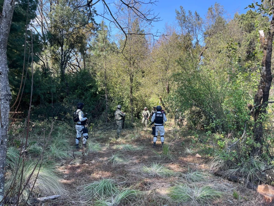 GN 21 de febrero 2025.jpeg