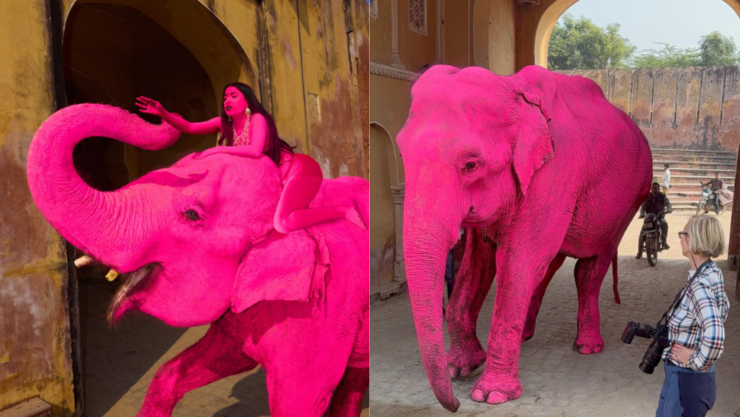 Elefante pintado de rosa