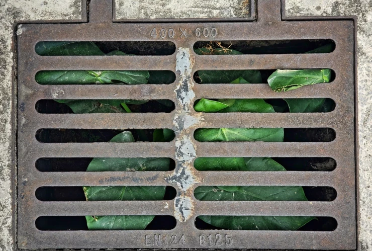 perrito atrapado en una alcantarilla.png