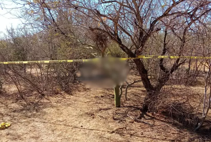 Encuentran a persona sin vida en la sindicatura de Jahuara en El Fuerte, Sinaloa.jpg