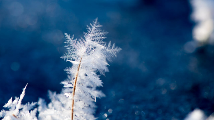 Temporada de Frentes fríos 2024