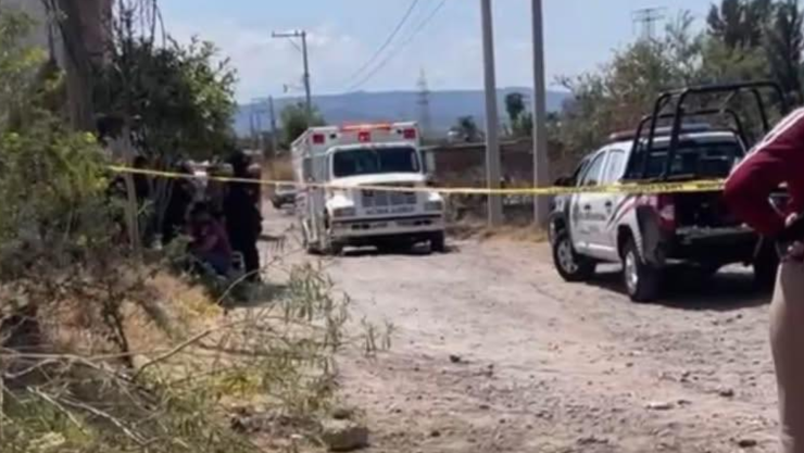 Ataque de abejas en Comonfort