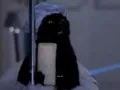 salem-saberhagen-sabrina-la-bruja-adolescente