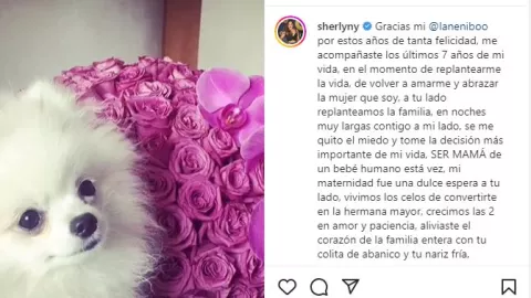 Sherlyn está de luto.