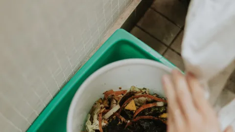 Guía de compostaje casero para quienes viven en un departamento