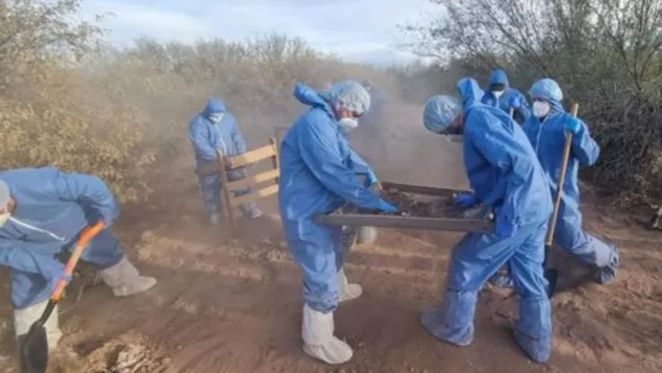 Hallan 57 restos óseos en predio El Choyudo en Sonora