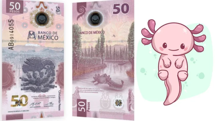 /aztecaespeciales/piden-casi-100-000-billete-50-pesos-caracteristicas-pbg-notas-mt