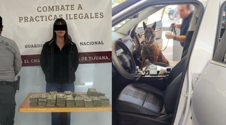 Mujer llevaba 3.2 millones de pesos y un perro detectó el dinero en la aduana de Tijuana