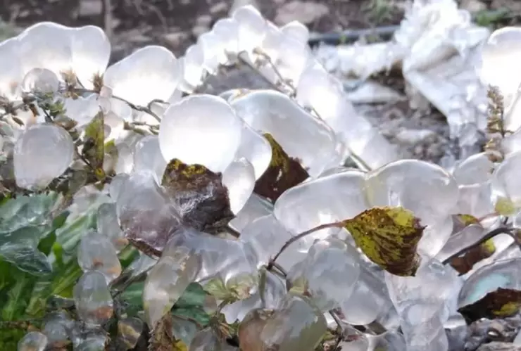 ¿Cuántos frentes fríos faltan antes del fin de 2025?: Fecha de impacto y afectaciones en Puebla