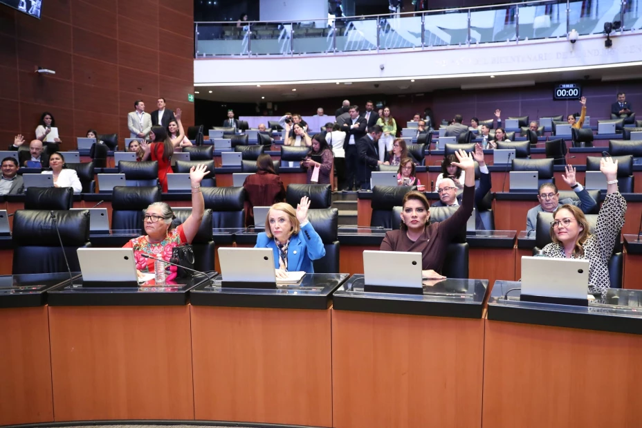 Aprueba reforma para garantizar apoyo económico a los jóvenes.jpg