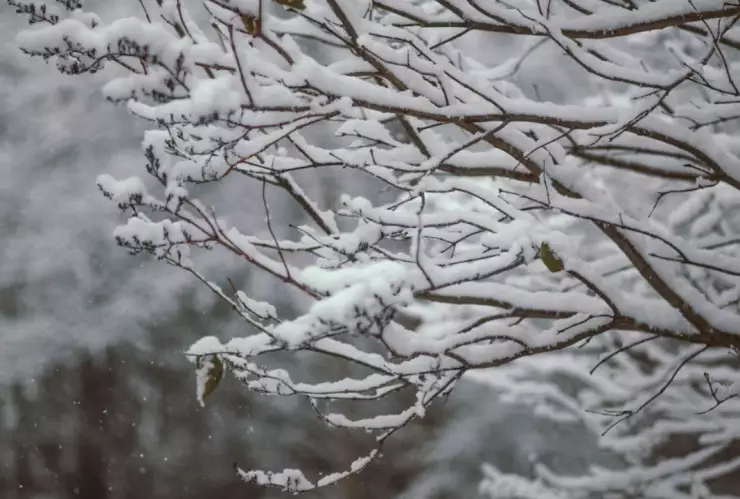 California en alerta máxima por severa tormenta navideña