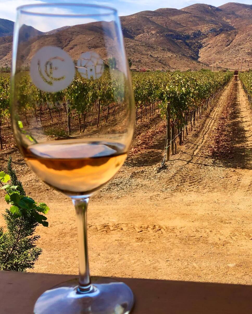 ruta del vino ensenada baja california