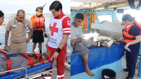 Pescador mordido por tiburón