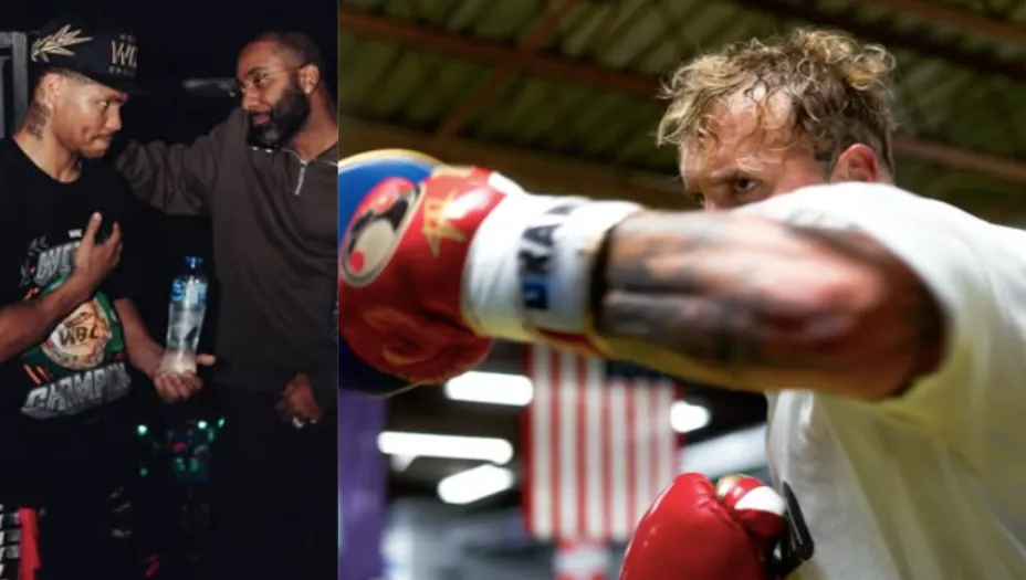 jake paul gervonta davis shakur stevenson