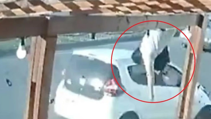 mujer atropella y mata a hombre cumpleaños